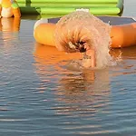 Zecamping 4 Etoiles Familial Animaux Acceptes Bien-Etre Piscine Chauffee *