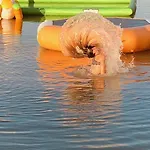 Zecamping 4 Etoiles Familial Animaux Acceptes Bien-Etre Piscine Chauffee