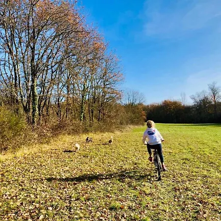 4 Etoiles - Piscine - Eed0aa *