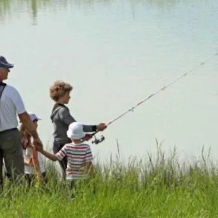 4 Etoiles - Piscine - Eed0aa Estipouy