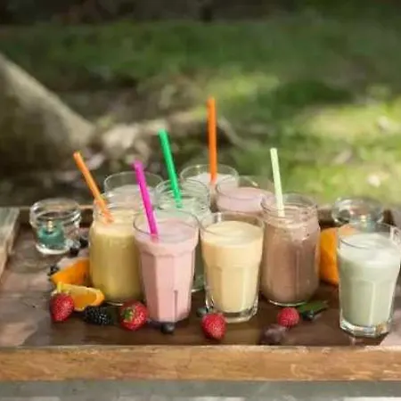 Campsite 4 Etoiles - Piscine - Eed0aa Estipouy