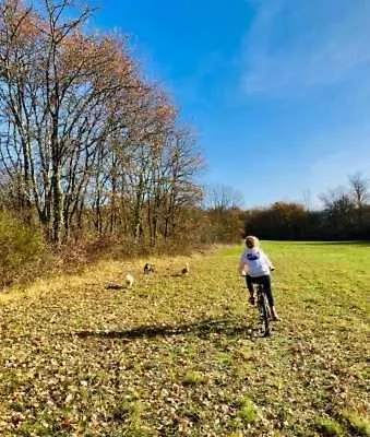 4 Etoiles - Piscine - Eed0aa * Estipouy