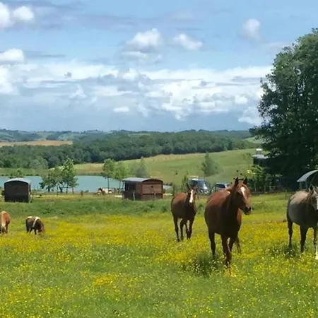 Zecamping 4 Etoiles Familial Animaux Acceptes Bien-etre Piscine Chauffee Luxussátor *