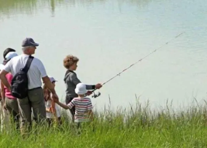 4 Etoiles - Piscine - Eed0aa 伊斯蒂庞