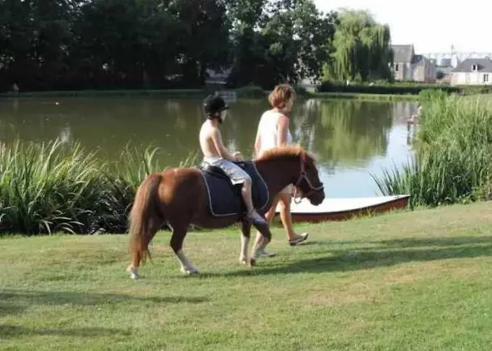 Luksusowy namiot Zecamping 4 Familial Animaux Acceptes Bien-Etre Piscine Chauffee *
