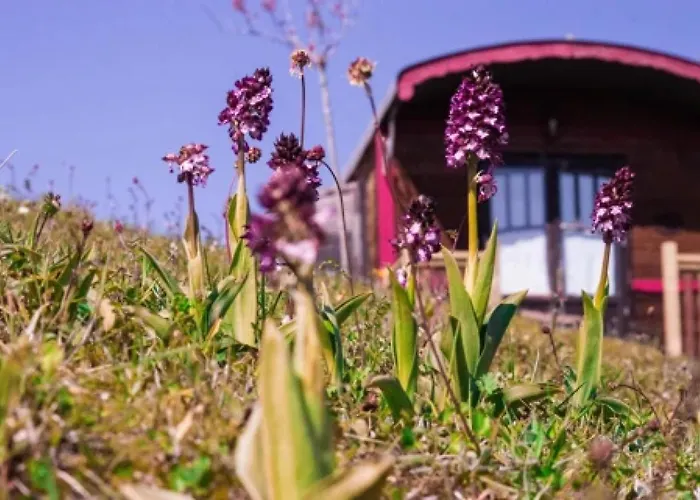 Camping 4 étoiles - Piscine - eed0aa * Estipouy