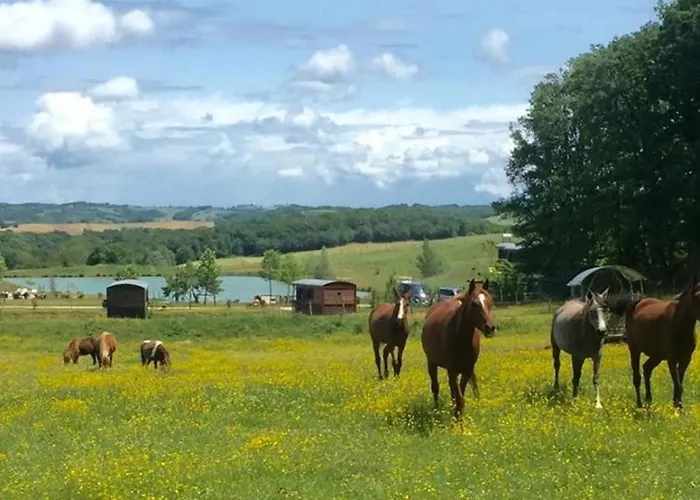 Camping 4 étoiles - Piscine - eed0aa Camping *